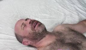 Hairy Gay Bear Loves Getting Sloppy Blowjob And Getting Fucked